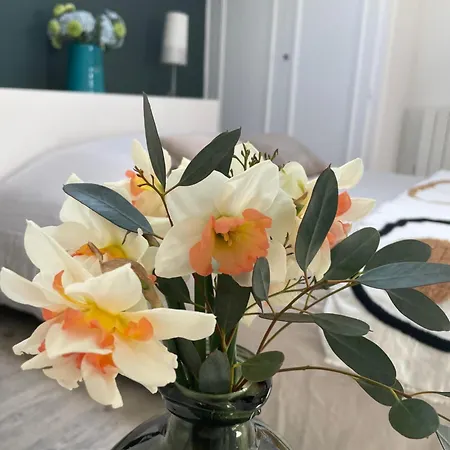 Lejlighed 1er Secret De