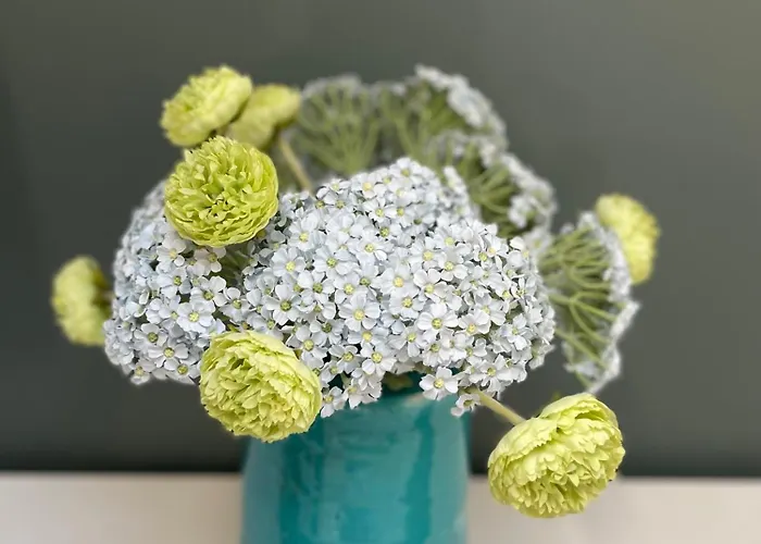 Apartamento 1er Secret De *