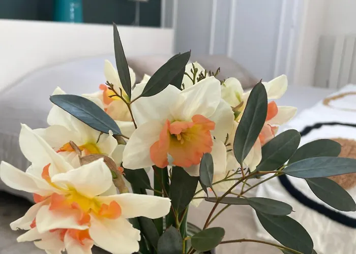 Apartamento 1er Secret De